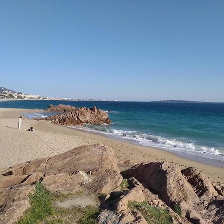 Apartament Sainte Rosalie Cannes Zewnętrze zdjęcie